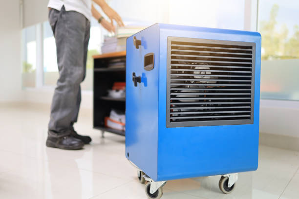 Best Mold Remediation for Rental Properties  in Signal Hill, CA